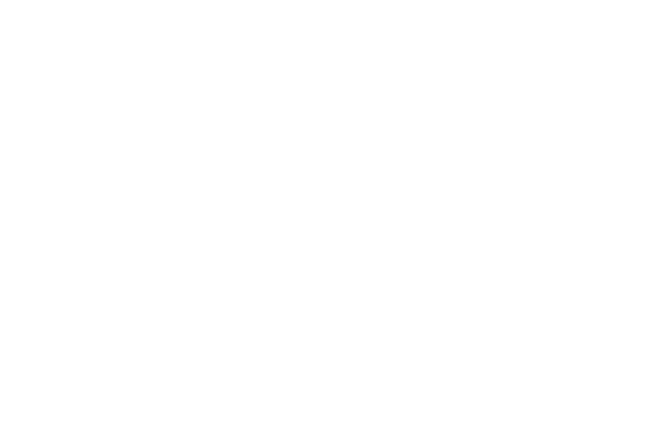 Master Academic